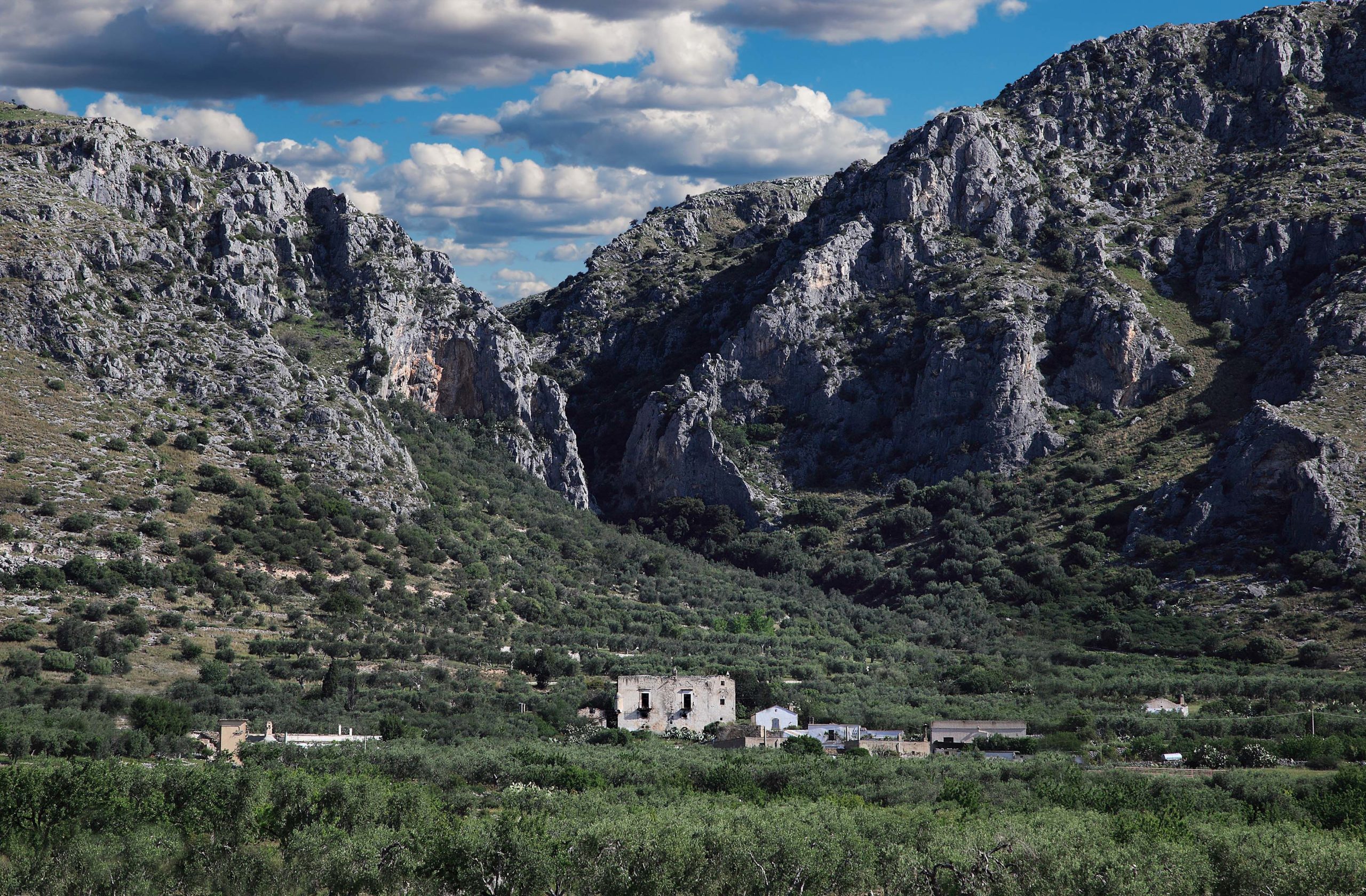 Azienda Agricola Trotta - Masseria Trotta e oliveti