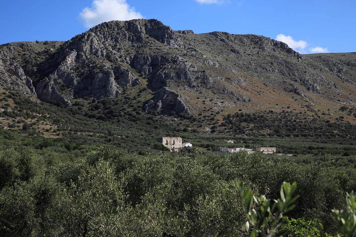 Agribio Trotta - masseria in lontananza, Gargano sullo sfondo