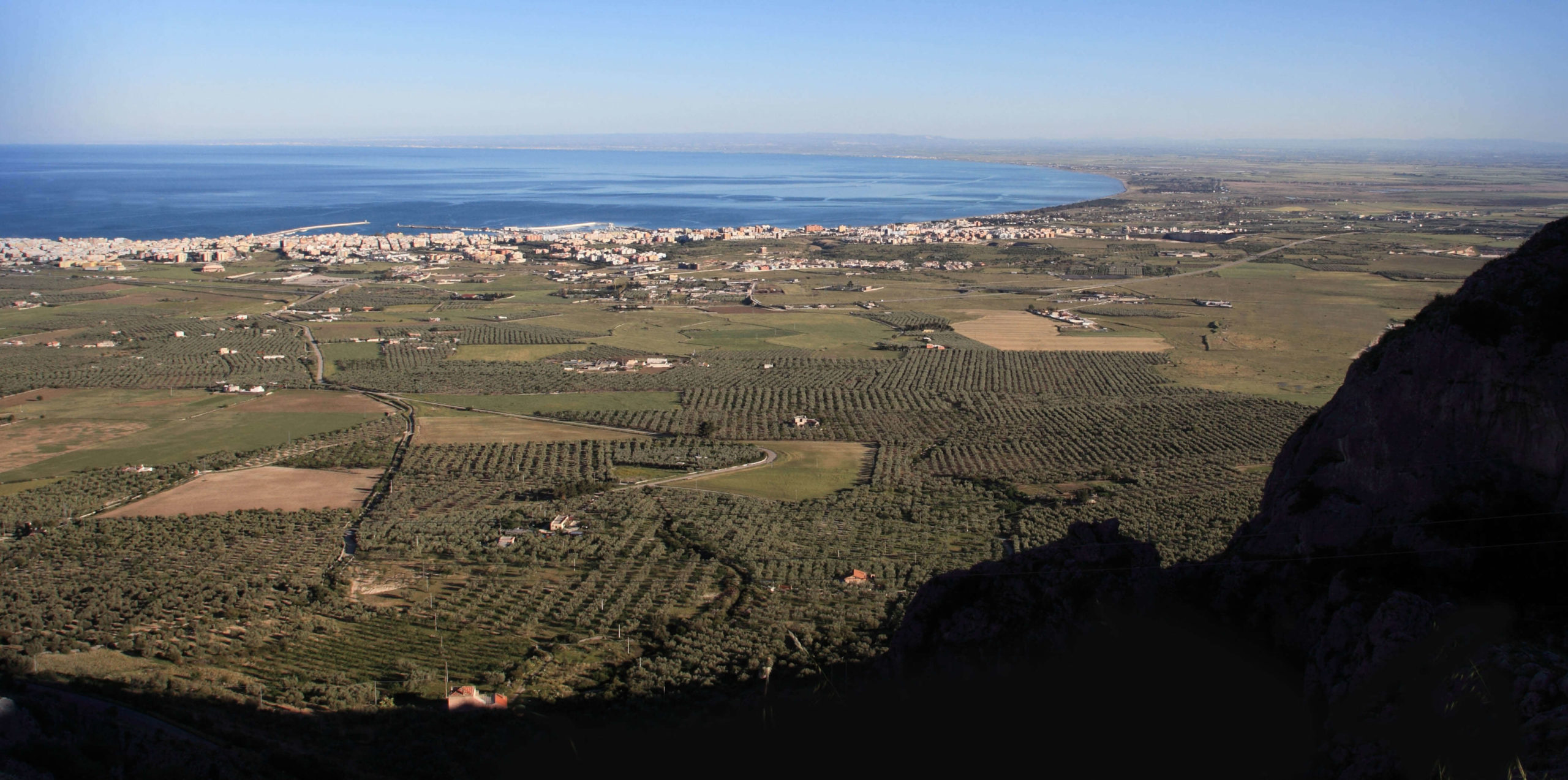 Agribio Trotta - oliveti sul Golfo di Manfredonia